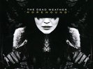 DEAD WEATHER Horehound 2xLP 180g NEW Third Man the kills jack white Raconteurs 7