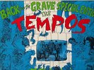 THE TEMPOS - self titled - Crypt Back From The Grave - garage punk LP  NICE NM