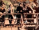 STEELEYE SPAN Hark The Village Wait UK RCA Vinyl LP EXCELLENT CONDITION  RECORD