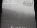 Vinyl - Satanic Warmaster / the true Frost - the true Face of Evil 7'' - 14/111