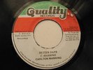 CARLTON & THE SHOES Better Days QUALITY 7