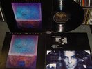 Peter Murphy Cascade Beggars Banquet '95 Bauhaus Goth Promo Slick Poster LP RARE