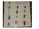 Syd Barrett “Barrett“ Harvest SHSP 4007 von 1970 Original UK Pressung,