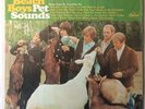 The Beach Boys 