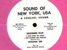Spoonie Gee 