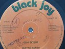 WAYNE SMITH - ISIM SKISIM - 12