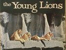 Lee Morgan/Wayne Shorter-The Young Lions-Vee-Jay 3013-STEREO