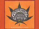 Brant Bjork & The Low Desert Punk Band - Black Power Flower Vinyl EU LP