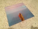 NEW Andrew McMahon In The Wilderness Ice Blue Vinyl LP Jacks Mannequin SEALED