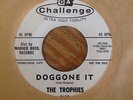 The Trophies - Doggone It / Desire 7