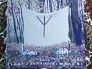 White Ring - Black Earth That Made Me 12''  (Vinyl Record Crystal Castles Salem)
