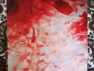 Salem - Im Still In The Night 12'' (Vinyl Record Crystal Castles Witch House)