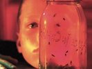 Alice in Chains Jar of Flies / Sap Vinyl LP New (2 Discs)