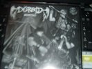 DORAID - Midnight 10