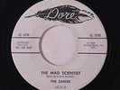 ZANIES: The Mad Scientist / She's A Winner 45 (dj) rare Oldies
