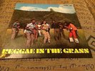 Reggae In The Grass Coxsone UK Rare Rocksteady Ska LP Listen 