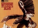 Wishbone Ash, Raw To The Bone, rare nearmint LP