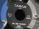 1M CARDON 1000 ANDY & THE MANHATTANS DOUBLE MIRROR WRAP AROUND SHADES GARAGE