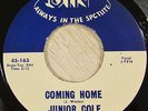 Junior Cole & Johnny Winter's Band 45 JIN Coming Home RARE BLUES SOUL LISTEN