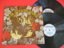 German Import 2 x LP SMALL FACES The Autumn Stone IMMEDIATE Gatefold STEREO NM-