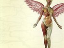 Nirvana In Utero Clear Vinyl LP 1993 Rare Limited DGC-24606 With Inner Sleeve NM