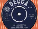 Screaming Lord Sutch : I'm A Hog For You - UK 7