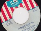 GARAGE 45 RPM - THE CHERRY SLUSH on U.S.A. RECORDS