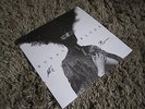 Royal Blood - Royal Blood Signed LP / Vinyl / Record / Out of the black / C.O.A
