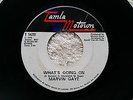 Marvin Gaye ?– What's Going On / God Is Love TAMLA MOTOWN CANADA Press '71 RARE