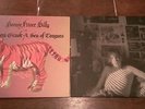 RARE Bonnie Prince Billy - Singer's Grave/A Sea of Tongues & BARELY REGAL 2x LP