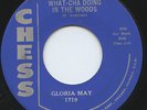 Hear - Rare Beatnik/Hipster 45 - Gloria May - What-Cha Doing In The Woods - M-