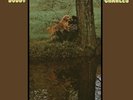 Bobby Charles - Charles - Vinyl Audiophile Blues Records