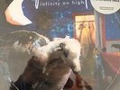 FALL OUT BOY Infinity On High LP PICTURE DISC - MINT NEVER OUT OF PACKAGE