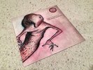 NEW Circa Survive Inuit Sessions Green Marble Vinyl LP Juturna Descensus SEALED
