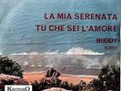 BUDDY GIANNI NAZZARO TONY AND TONY LA MIA SERENATA UN DISCO PER L'ESTATE 45 GIRI
