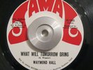 Funk/Soul 45 Waymond Hall/The Apollos What Will Tomorrow Bring JAMAL Sacramento