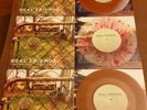POP PUNK MEGA VINYL BUNDLE - New Found Glory - Real Friends