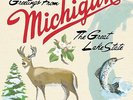 Sufjan Stevens - Michigan NEW 2 x LP