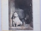 PAVLOV'S DOG - Pampered Menial PROMO LP 1975 White Label Vinyl PROG Rock Record