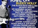 Rave On Buddy Holly (2011, Vinyl NEW)