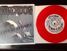 UNDERDOG Sandy Survivors 7