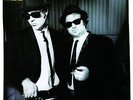 The Blues Brothers - Briefcase Full Of Blues Vinyl LP NEU 0552379