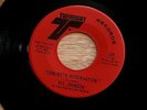 SYL JOHNSON CONCRETE RESERVATION VG++ TOGETHER FOREVER TWINIGHT 129  SOUL 45