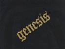 Genesis - From Genesis To Revelation Vinyl US LP