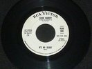 NORTHERN SOUL Susan Barrett - What's It Gonna Be / it's No Secret - RCA Demo