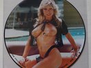 SAMANTHA FOX INTERVIEW DISC; 2 NUDES PICTURE DISCS; CHEESECAKE LP; IMPORT