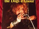 The Dogs D'amour 