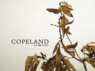 Copeland - In Motion [Vinyl New]