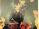 33T Alain Bashung Play Blessures Original Philips EX  & Paroles 1982