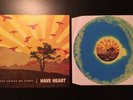 HAVE HEART The Things We Carry LP 1st press on BLUE/YELLOW vinyl out of 260